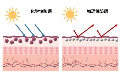 物理防曬 vs 化學防曬 如何做出明智選擇？全面解析防曬技巧